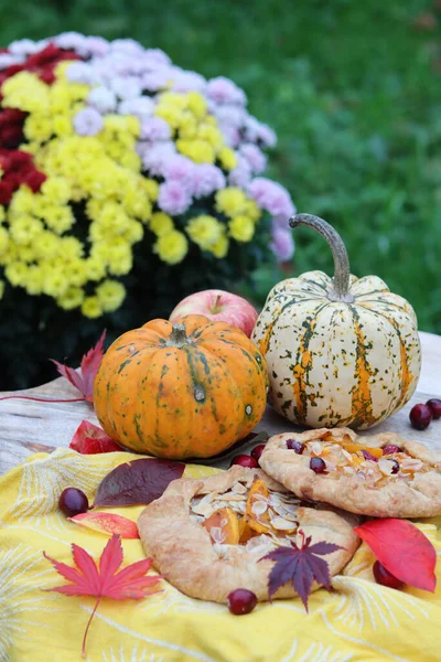 在花园里野餐 美丽的南瓜蔬菜 南瓜片 盛开的菊花灌木 背景上的青草 秋天收获照片 秋季食品 — 图库照片