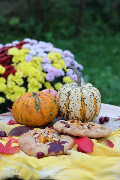 在花园里野餐 美丽的南瓜蔬菜 南瓜片 盛开的菊花灌木 背景上的青草 秋天收获照片 秋季食品 — 图库照片