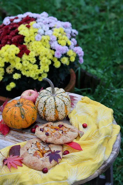 Piknik Ogrodzie Piękne Warzywa Squasha Dyniowe Galety Czerwone Liście Kwitnący — Zdjęcie stockowe