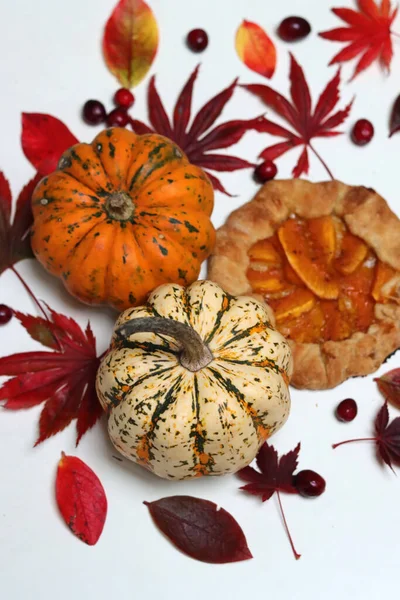 Masasında kırmızı sonbahar yaprakları olan balkabağı galetleri. Beyaz arka plan. Sonbahar sezonunun makbuzları. Sağlıklı beslenme konsepti. Şükran Günü menüsü fikirleri. Organik sebzeler.. 