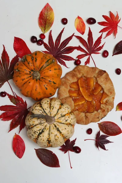 Masasında kırmızı sonbahar yaprakları olan balkabağı galetleri. Beyaz arka plan. Sonbahar sezonunun makbuzları. Sağlıklı beslenme konsepti. Şükran Günü menüsü fikirleri. Organik sebzeler.. 