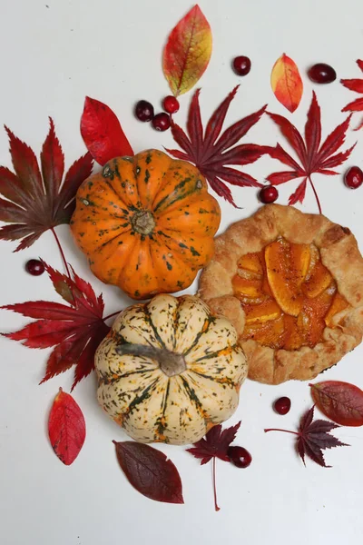 Masasında kırmızı sonbahar yaprakları olan balkabağı galetleri. Beyaz arka plan. Sonbahar sezonunun makbuzları. Sağlıklı beslenme konsepti. Şükran Günü menüsü fikirleri. Organik sebzeler.. 