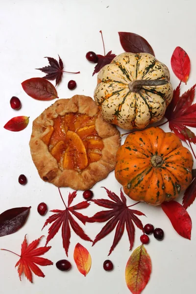 Masasında kırmızı sonbahar yaprakları olan balkabağı galetleri. Beyaz arka plan. Sonbahar sezonunun makbuzları. Sağlıklı beslenme konsepti. Şükran Günü menüsü fikirleri. Organik sebzeler.. 