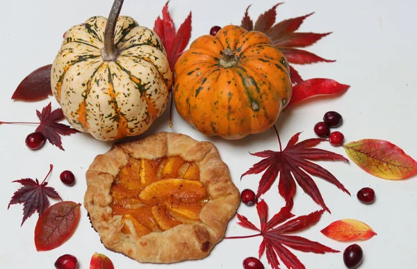 Masasında kırmızı sonbahar yaprakları olan balkabağı galetleri. Beyaz arka plan. Sonbahar sezonunun makbuzları. Sağlıklı beslenme konsepti. Şükran Günü menüsü fikirleri. Organik sebzeler.. 