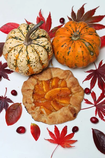 Masasında kırmızı sonbahar yaprakları olan balkabağı galetleri. Beyaz arka plan. Sonbahar sezonunun makbuzları. Sağlıklı beslenme konsepti. Şükran Günü menüsü fikirleri. Organik sebzeler.. 