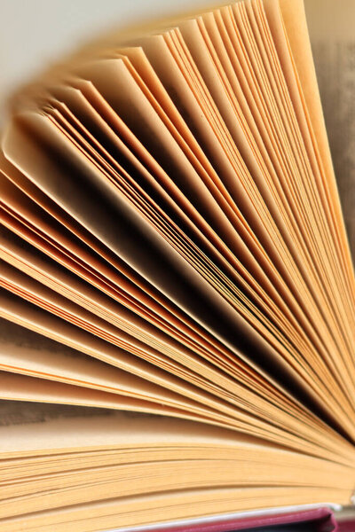 Close up photo of book pages. Open book texture. Education concept. 