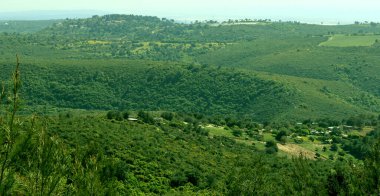 Yeşil tepeler panoramik fotoğraf. Yeşil tarlaları ve ağaçları olan güzel bir manzara. Orta Doğu 'nun doğası. Ekoloji kavramı. 