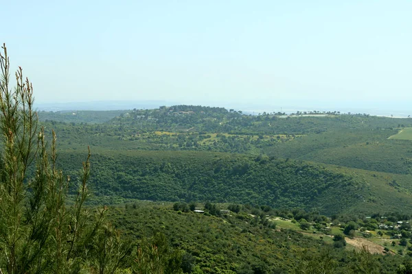 Green Hills Panoramic Photo Beautiful Landscape Green Fields Trees Nature — ストック写真