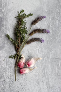 Sarımsak soğanı ve karanfil açık gri bir masada. Baharatların fotoğrafını kapat. Gıda hala hayat. 