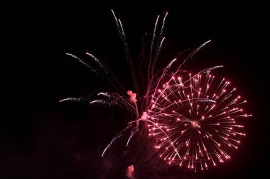 Firework close up photo. Beautiful fireworks in the night sky. 