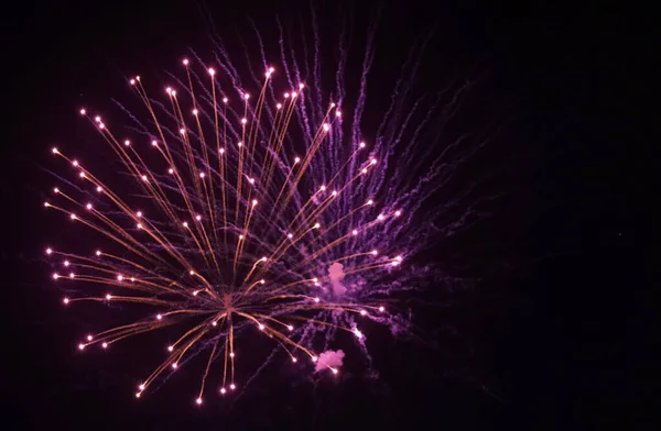 Independence Day Celebration Colorful Fireworks Dark Sky Black Background Copy — Stockfoto