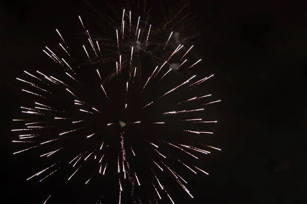 Fireworks Splashes Sky Pyrotechnics Firework Close Photo Ecology Conversation Concept — Stockfoto