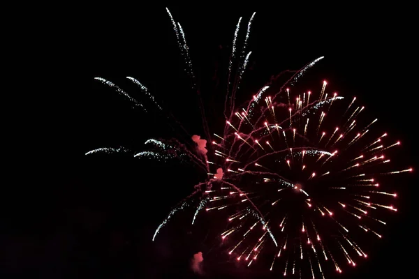 Fireworks Splashes Sky Pyrotechnics Firework Close Photo Ecology Conversation Concept — Stockfoto