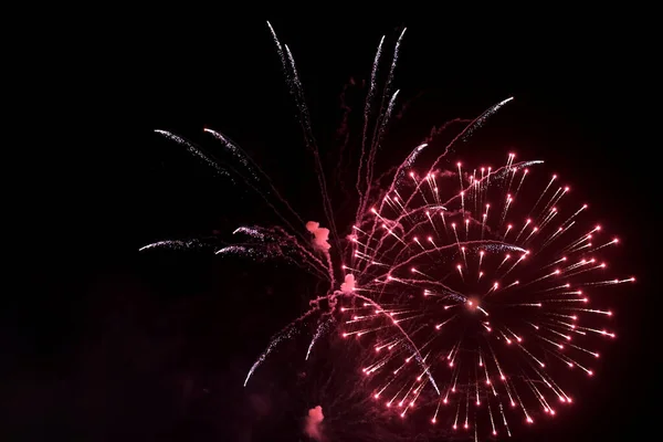 Firework Display Night Sky Beautiful Celebration Show — Stockfoto