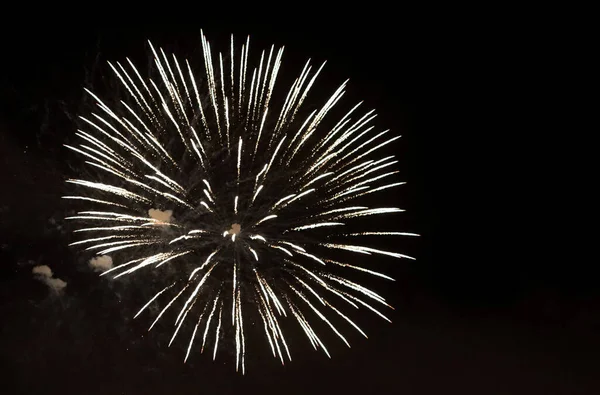 Firework Display Night Sky Beautiful Celebration Show — Foto Stock