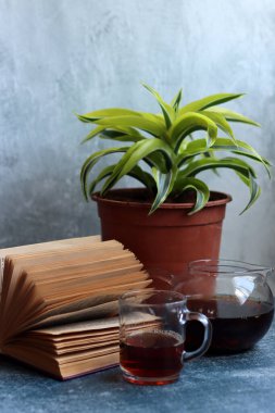 Gri dokularla ilgili eski açık bir kitabı olan basit kompozisyon. Retro stili natürmort hayat. 