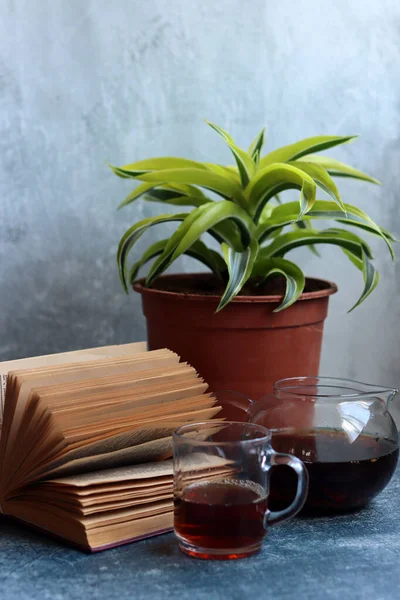 Gri dokularla ilgili eski açık bir kitabı olan basit kompozisyon. Retro stili natürmort hayat. 