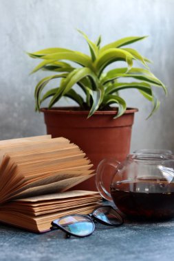 Saksı bitkisi, okuma gözlüğü, açık kitap ve çay demliği gri masada. Geçmişe dönük nesnelerle basit kompozisyon. 