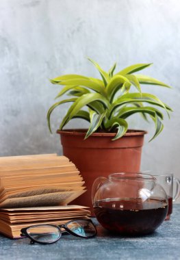 Eski kitaplarla ve masa başında saksılarla dolu bir hayat. Fotokopi alanı olan gri arkaplan. Eğitim kavramı. 