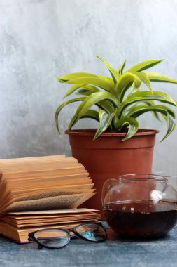 Saksı bitkisi, okuma gözlüğü, açık kitap ve çay demliği gri masada. Geçmişe dönük nesnelerle basit kompozisyon. 