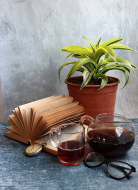 Saksı bitkisi, okuma gözlüğü, açık kitap ve çay demliği gri masada. Geçmişe dönük nesnelerle basit kompozisyon. 