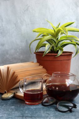 Saksı bitkisi, okuma gözlüğü, açık kitap ve çay demliği gri masada. Geçmişe dönük nesnelerle basit kompozisyon. 