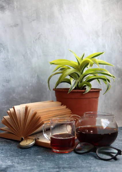 Saksı bitkisi, okuma gözlüğü, açık kitap ve çay demliği gri masada. Geçmişe dönük nesnelerle basit kompozisyon. 