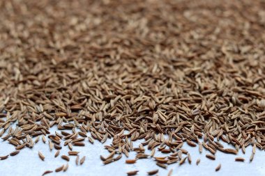 Kimyon tohumları, yakın plan fotoğraf. Masada bir sürü kimyon tohumu var. Kimyon baharat dokusu. Yemek aromalı. Soyut kahverengi arkaplan. 