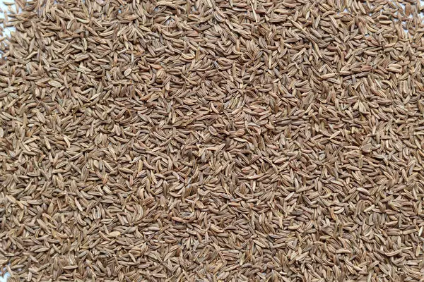 Cumin Seeds Close Photo Lot Cumin Seeds Table Cumin Spice — Φωτογραφία Αρχείου