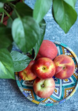 Taze organik meyvelerle hayat. Masadaki şeftali ve nektarin fotoğrafını kapat. Sağlıklı konsept yemek. 