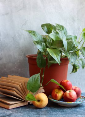 Nektarinlerle, açık kitaplarla ve saksılarla dolu renkli bir hayat. Sağlıklı yaşam tarzı kavramı. 