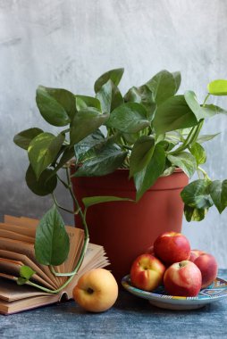 Nektarinlerle, açık kitaplarla ve saksılarla dolu renkli bir hayat. Sağlıklı yaşam tarzı kavramı. 