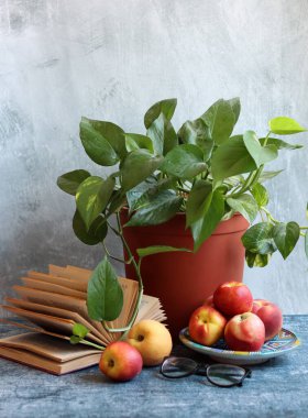 Nektarinlerle, açık kitaplarla ve saksılarla dolu renkli bir hayat. Sağlıklı yaşam tarzı kavramı. 