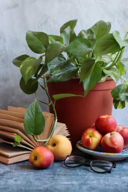 Yaz meyveleriyle dolu bir hayat. Şeftali ve nektarinler fotoğrafı kapatın. Sağlıklı konsept yemek. 
