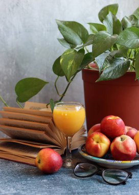 Eski bir kitap, bir bardak portakal suyu ve yeşil bir ev bitkisiyle dolu bir hayat. Fotokopi alanı olan gri arkaplan. Sağlıklı yeme kavramı. 