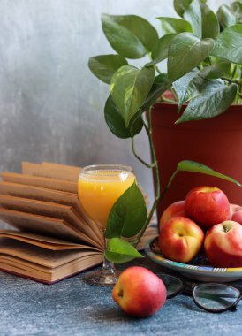 Eski bir kitap, bir bardak portakal suyu ve yeşil bir ev bitkisiyle dolu bir hayat. Fotokopi alanı olan gri arkaplan. Sağlıklı yeme kavramı. 