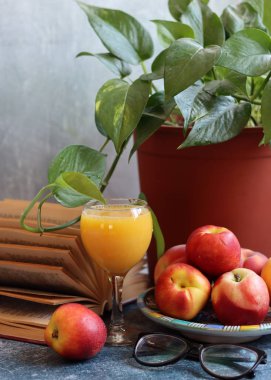 Eski bir kitap, bir bardak portakal suyu ve yeşil bir ev bitkisiyle dolu bir hayat. Fotokopi alanı olan gri arkaplan. Sağlıklı yeme kavramı. 
