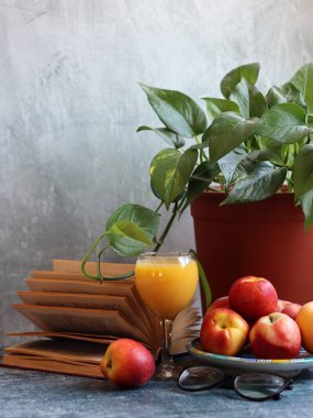 Eski bir kitap, bir bardak portakal suyu ve yeşil bir ev bitkisiyle dolu bir hayat. Fotokopi alanı olan gri arkaplan. Sağlıklı yeme kavramı. 