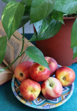 Yaz meyveleriyle dolu bir hayat. Şeftali ve nektarinler fotoğrafı kapatın. Sağlıklı konsept yemek. 