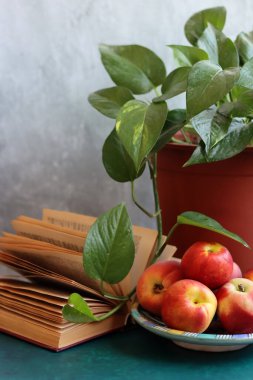 Yaz meyveleriyle dolu bir hayat. Şeftali ve nektarinler fotoğrafı kapatın. Sağlıklı konsept yemek. 
