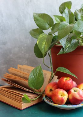 Yaz meyveleriyle dolu bir hayat. Şeftali ve nektarinler fotoğrafı kapatın. Sağlıklı konsept yemek. 