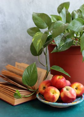 Taze organik meyvelerle hayat. Masadaki şeftali ve nektarin fotoğrafını kapat. Sağlıklı konsept yemek. 