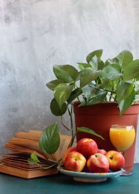 Yaz meyveleriyle dolu bir hayat. Şeftali ve nektarinler fotoğrafı kapatın. Sağlıklı konsept yemek. 