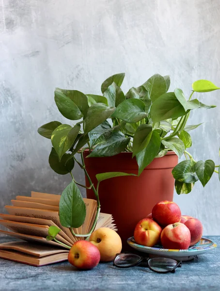 Nektarinlerle, açık kitaplarla ve saksılarla dolu renkli bir hayat. Sağlıklı yaşam tarzı kavramı. 