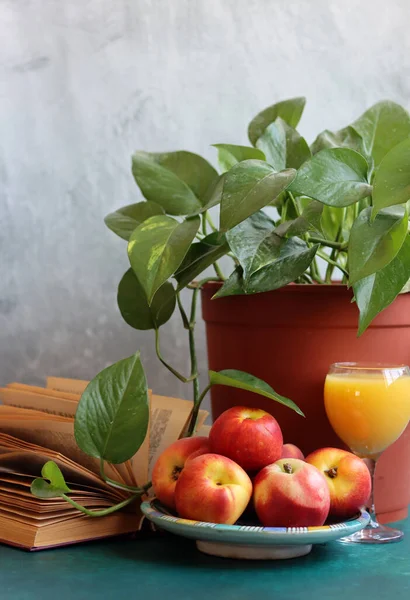 Yeşil ev bitkisi ve ahşap masada taze yaz meyveleriyle dolu bir hayat. Şeftali ve nektarin tabakta. Sağlıklı yeme kavramı. 