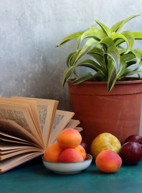 Taze yaz meyvesi, natürmort. Kayısıların, eriklerin ve nektarinlerin renkli görüntüsü. Sağlıklı yeme kavramı. 
