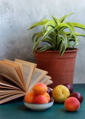 Taze yaz meyvesi, natürmort. Kayısıların, eriklerin ve nektarinlerin renkli görüntüsü. Sağlıklı yeme kavramı. 
