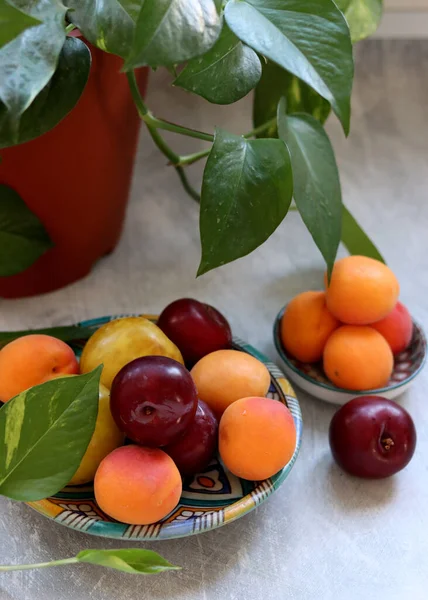 Seizoensfruit Een Bord Bovenaanzicht Foto Van Pruimen Abrikozen Groene Bladeren — Stockfoto