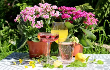 Mango, strawberry cocktails and rose lemonade on a garden table. Summer cocktails close up photo. Refreshing drinks in different glasses. 