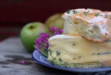 French cheese close up photo. Brie and camembert cheese with honey. Tasty appetizer on a plate. Food still life photo.  